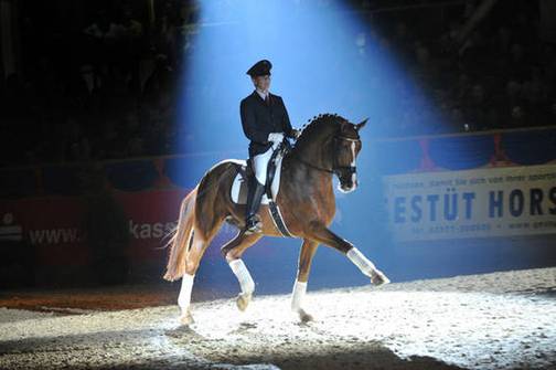 Quaterback and Marlin Rinne Björn Schröder (german horse)